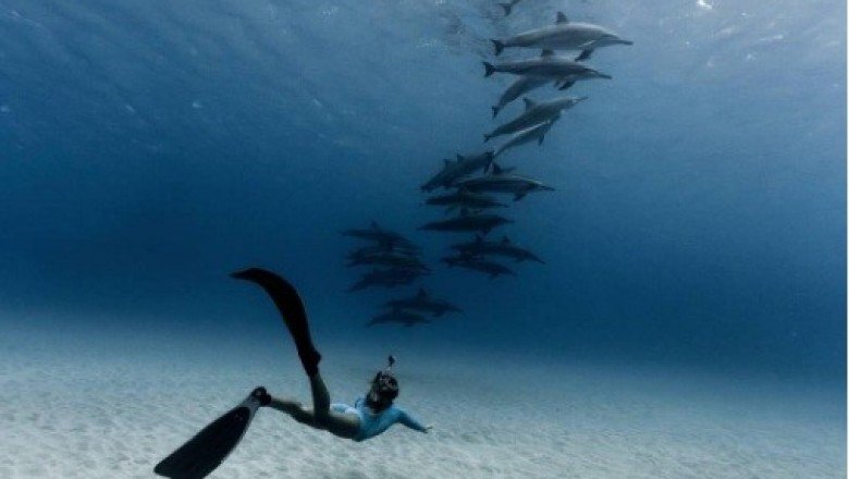 Parodik Günün Fotoğrafı Anı Yakala